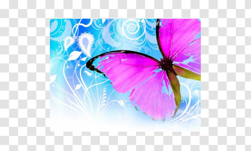 Desktop Wallpaper Mobile Phones - Moths And Butterflies - Carros 4x4 Transparent PNG