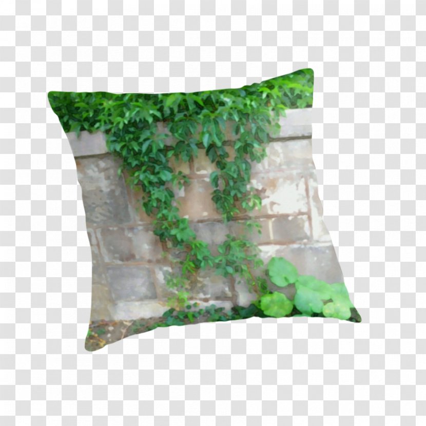 Throw Pillows Cushion Green - Pillow Transparent PNG
