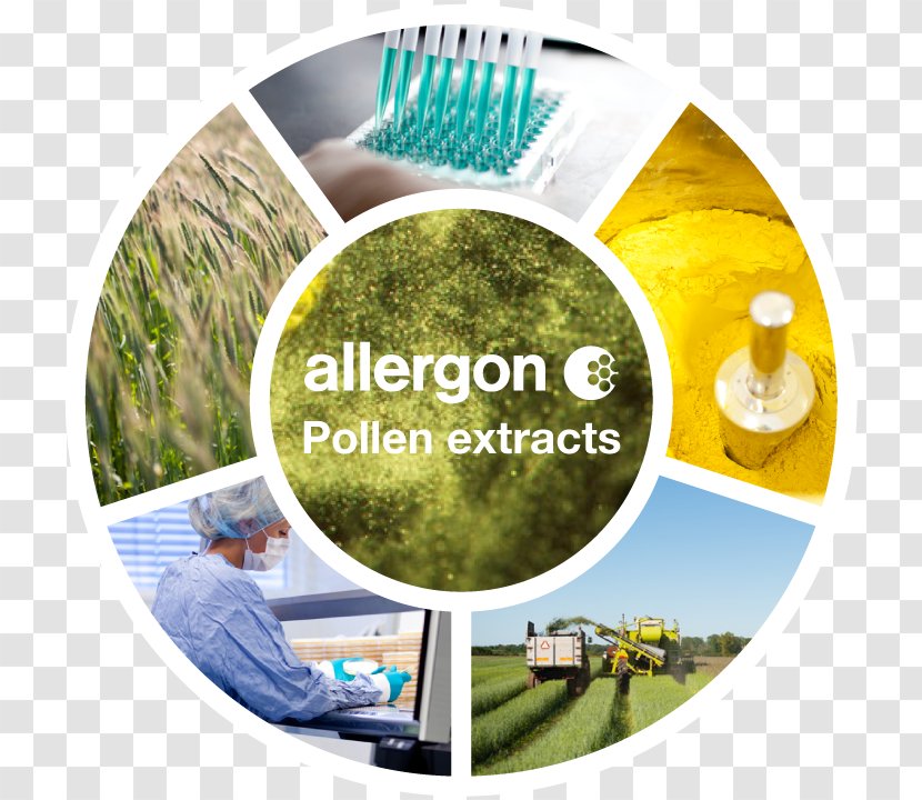 Allergon AB Mattress Protectors Allergy Pollen Ängelholm Transparent PNG
