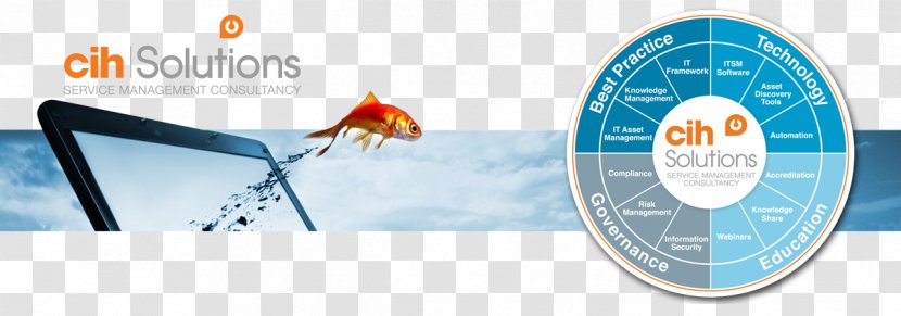 Perspectives On Cognitive Task Analysis: Historical Origins And Modern Communities Of Practice Brand Logo Goldfish - Advertising - PAPER WEB BANNER Transparent PNG