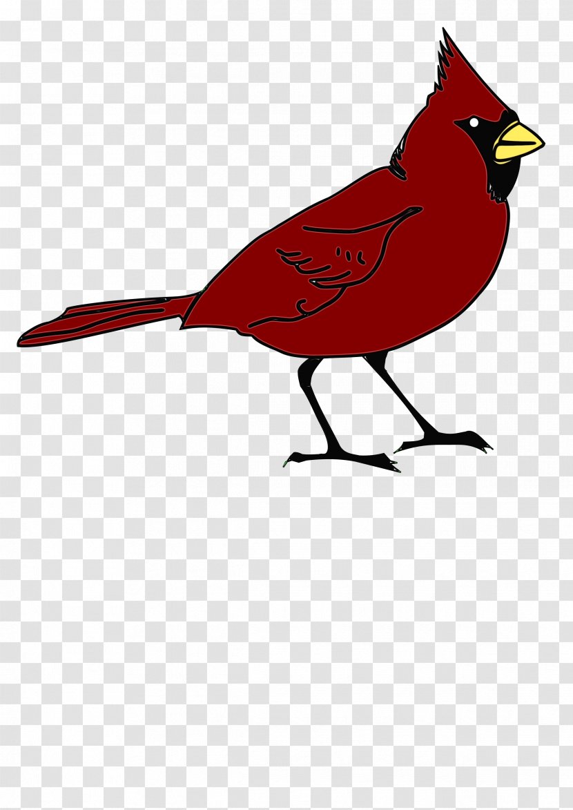 Northern Cardinal Bird Drawing Silhouette - Beak - Perching Songbird Transparent PNG