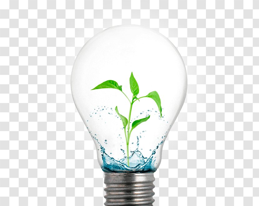 Incandescent Light Bulb Light-emitting Diode Electric Transparent PNG