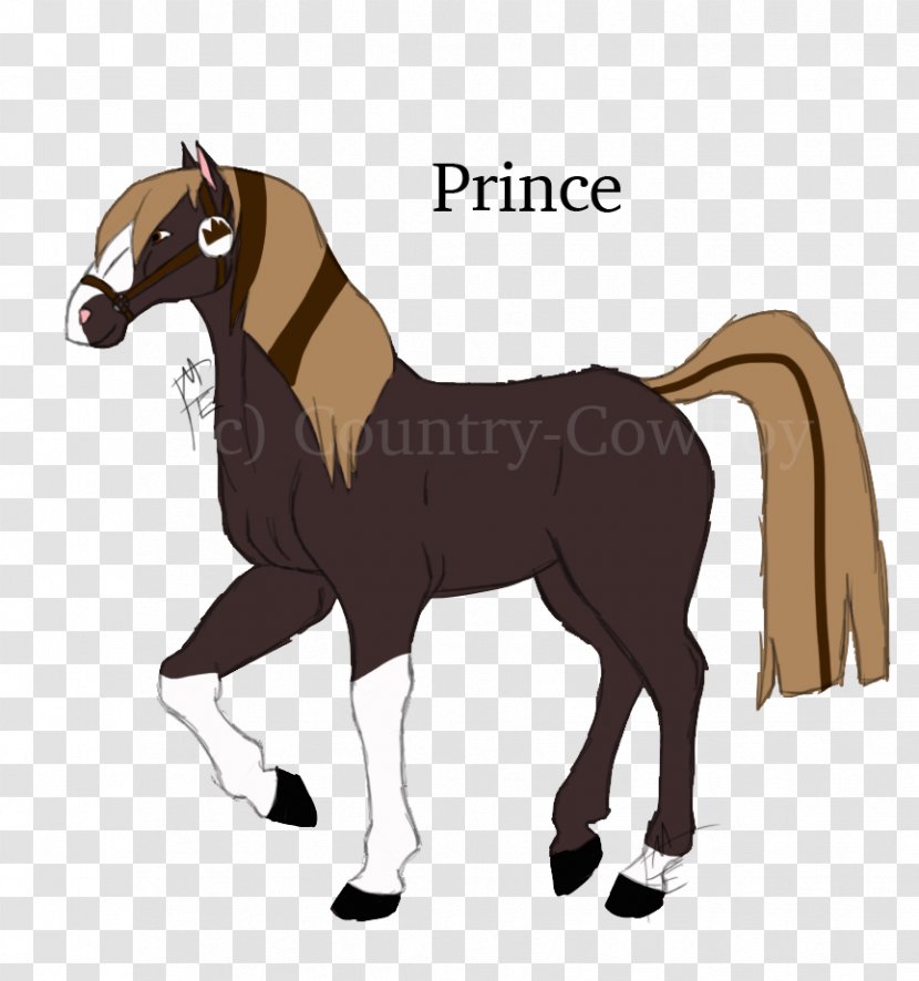 Mane Mustang Foal Stallion Colt - Cowboy Horse Racing Transparent PNG