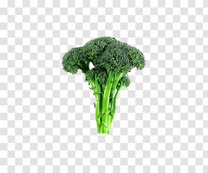 Broccoli Cabbage Cauliflower Vegetable Lettuce - Sulforaphane Transparent PNG