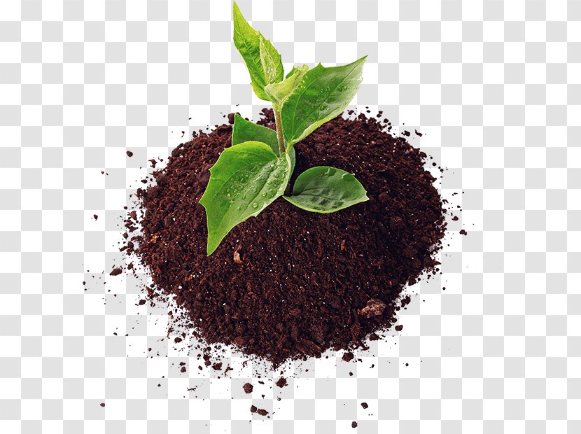 Soil Agriculture Fertilisers Pesticide Organic Farming - Biopesticide - SOIL Transparent PNG