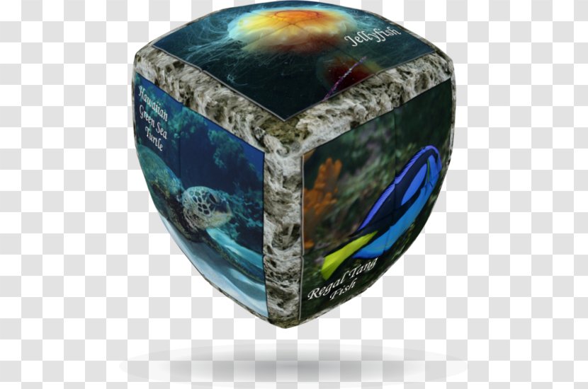 V-Cube 7 Rubik's Cube Puzzle - Beslistnl - Sea World Transparent PNG