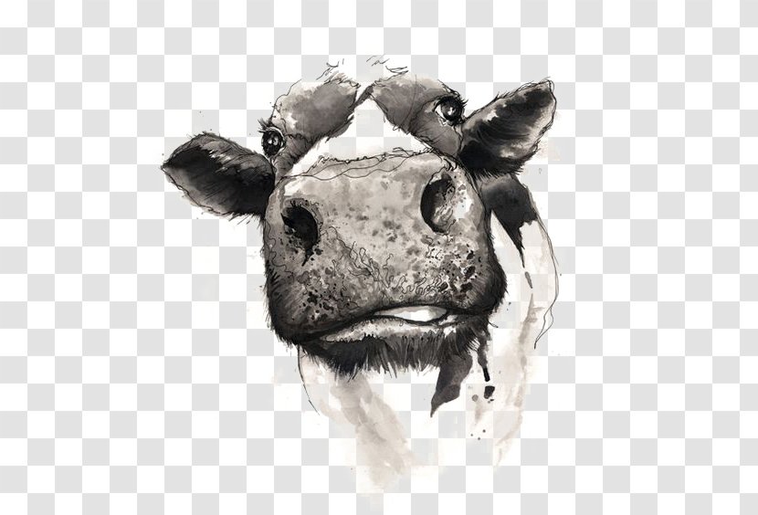 Cattle Drawing Watercolor Painting - Horn - Cow Transparent PNG