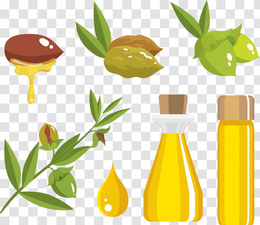 Olive Oil Jojoba - Flowerpot - Process For Making Transparent PNG