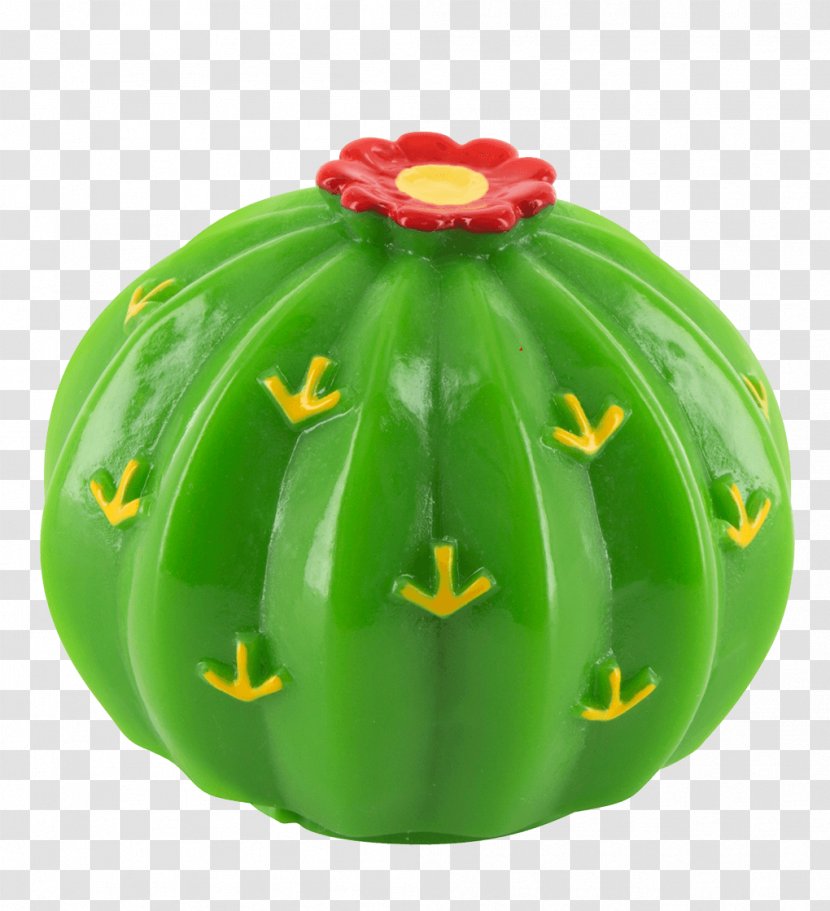 Watermelon Beauty Skin Precedent Pylones - Gourd Transparent PNG