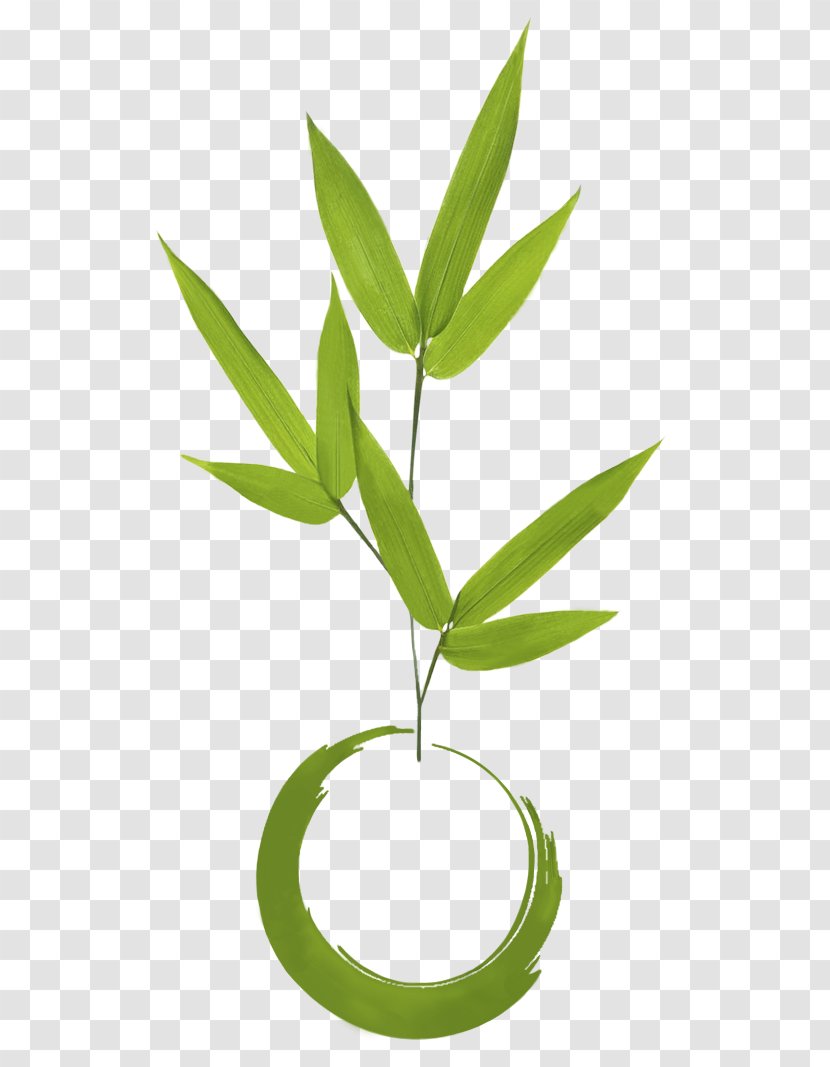 Madrid Kokedama Plant Floral Design Flowerpot - Bamboo - Zoom Transparent PNG