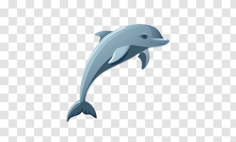 Dolphin Cartoon Drawing Clip Art Transparent PNG