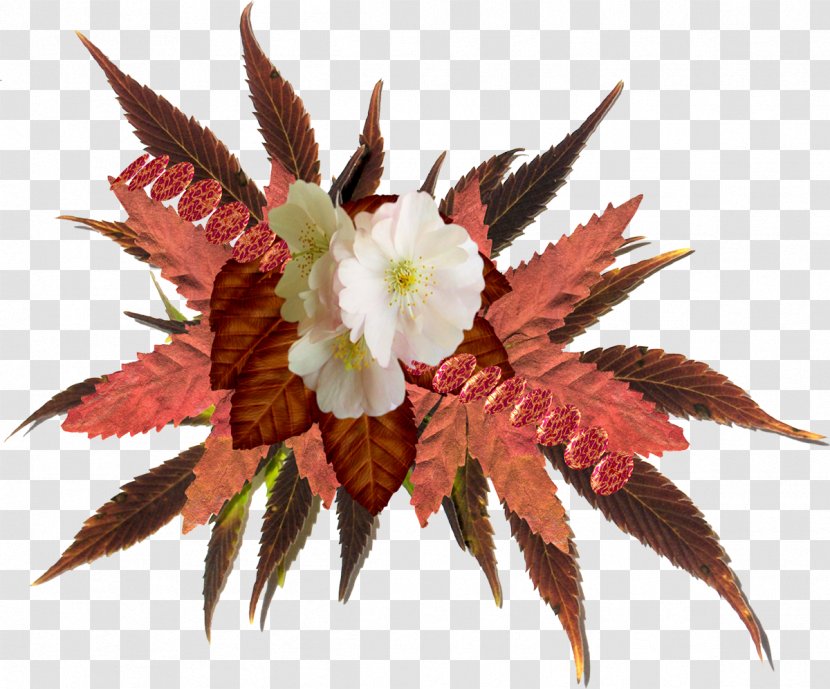 Flower Autumn - Gratis Transparent PNG