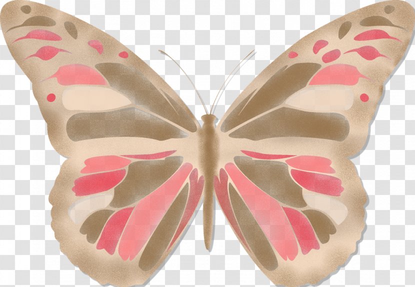 Butterfly Moth Pink M - Wing Transparent PNG