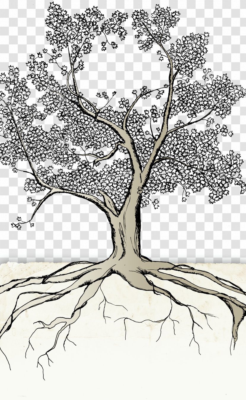 Black & White - Visual Arts - M Sketch Leaf Floral DesignDense Trees Transparent PNG