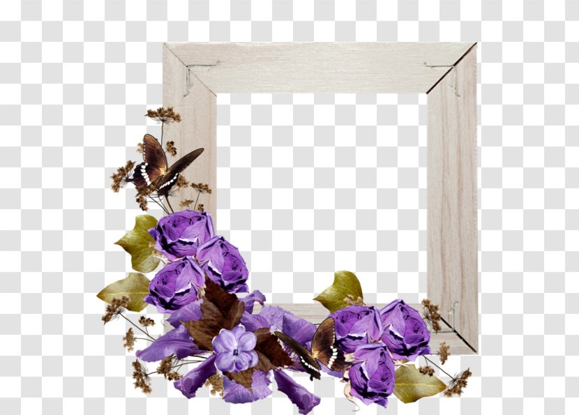 Photography Clip Art - Color - Beautiful Purple Bow Transparent PNG