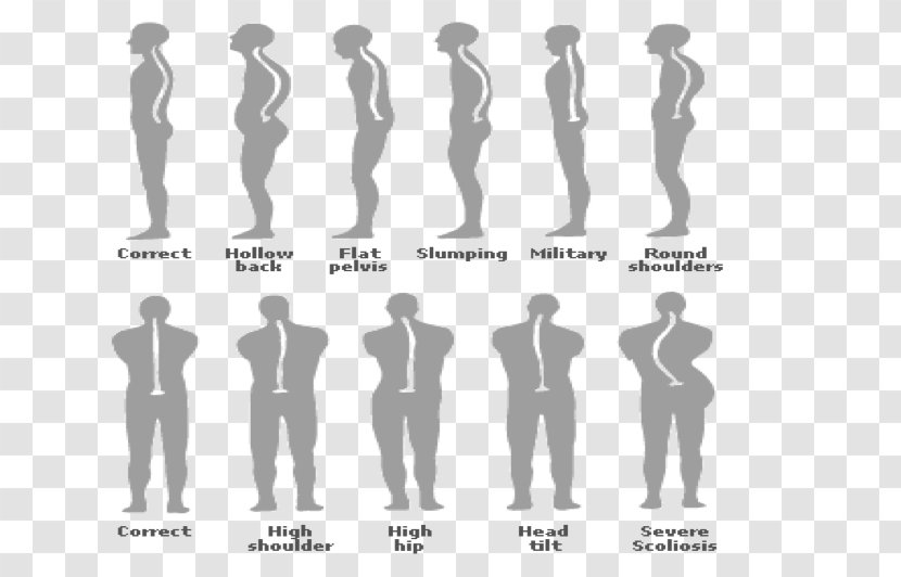 Neutral Spine Poor Posture Human Body Vertebral Column Asento - Sitting - Health Transparent PNG