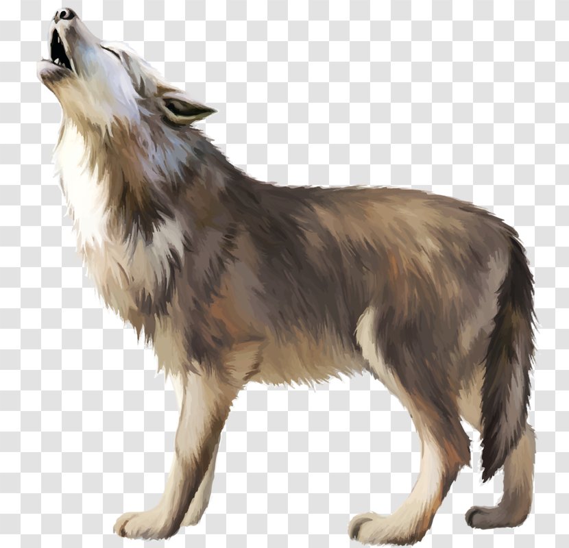 Gray Wolf Icon - Dog Transparent PNG