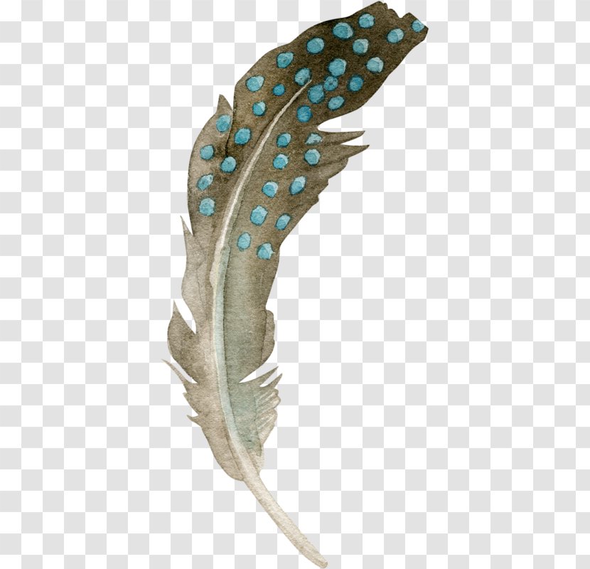 Feather Bird Clip Art - Pavo - Material Transparent PNG