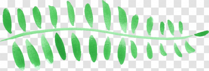 Leaf Grasses Plant Stem Font - Green - Watercolor-leaves Border Transparent PNG