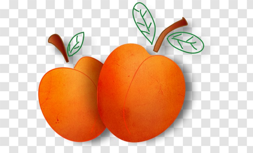 Vegetable Fruits Et Légumes Apelsin - Fruit Transparent PNG