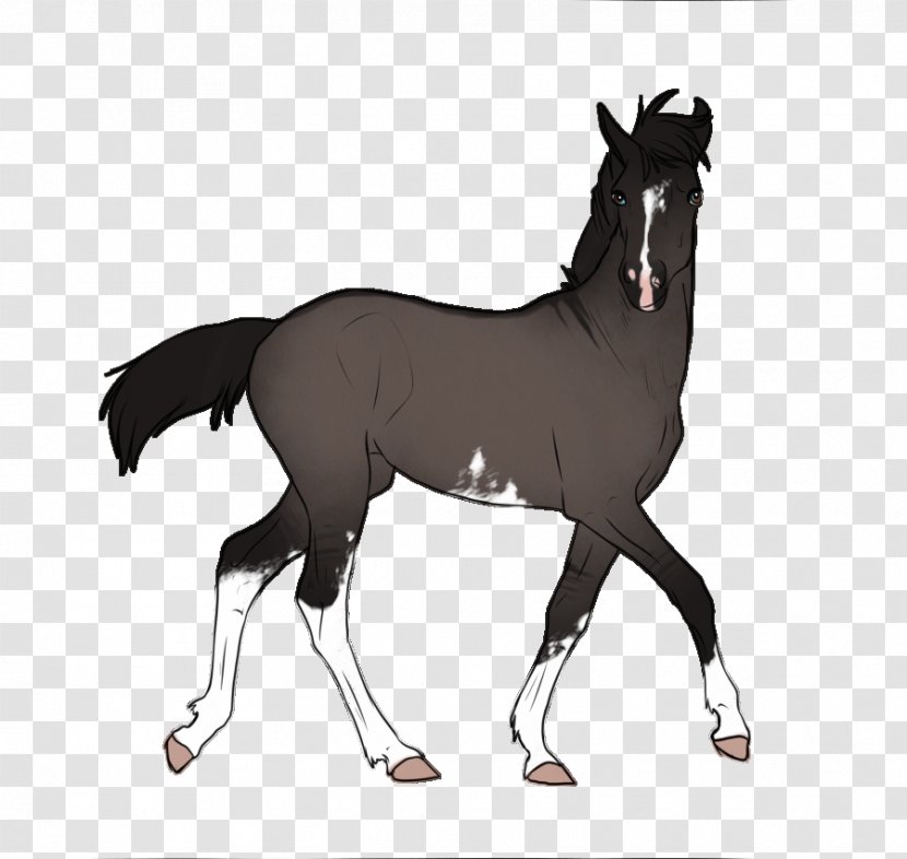 Mustang Foal Stallion Colt Mare - Pack Animal Transparent PNG