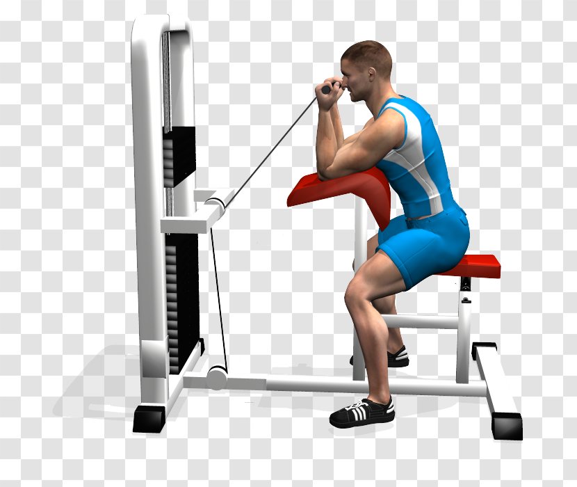 Weight Training Weightlifting Machine Strength Hip - Heart - Panca Scott Transparent PNG