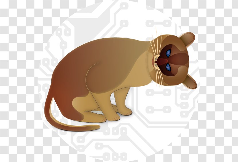 Whiskers Cat Reparación De Ordenadores Cougar Computer - Carnivoran Transparent PNG