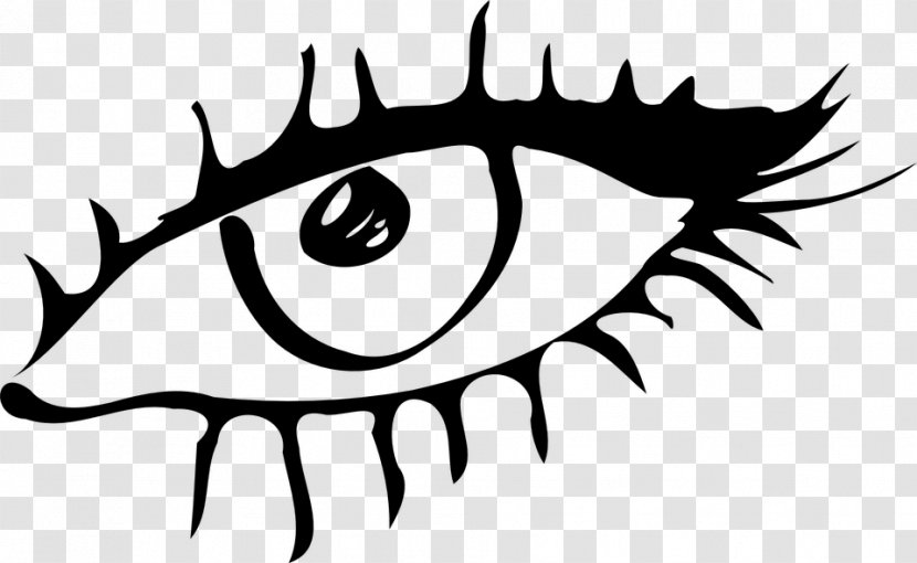 Human Eye Kleurplaat Drawing Eyelid - Frame Transparent PNG