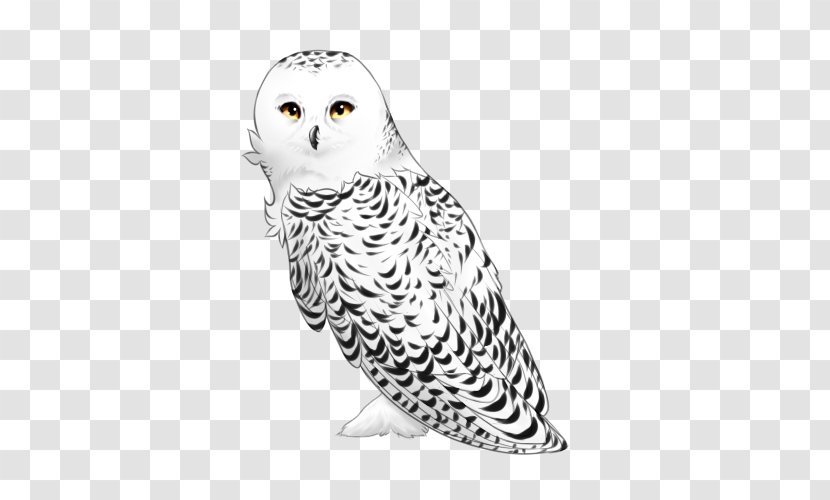 Snowy Owl Masala Chai Animal Digital Art - Great Grey - Harry Potter Hedwig Flying Transparent PNG