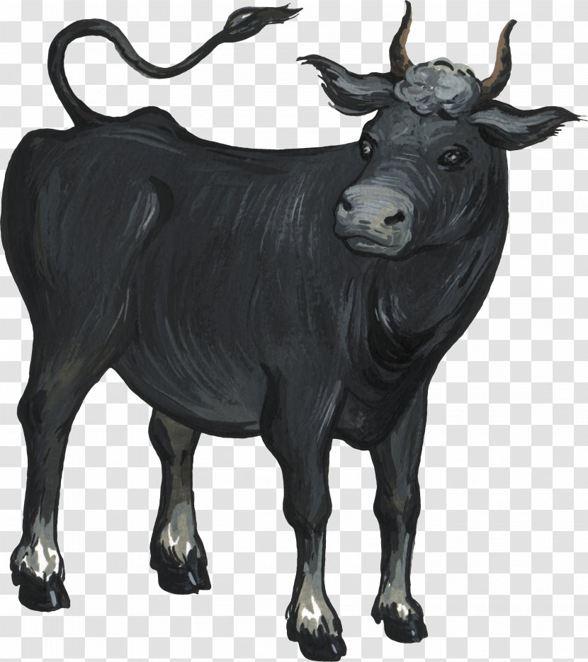 Cattle Ox Bull Livestock - Photography - Clarabelle Cow Transparent PNG