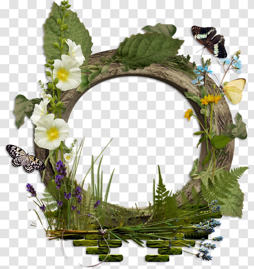 Watercolor Wreath Background - Garden - Wildflower Interior Design Transparent PNG