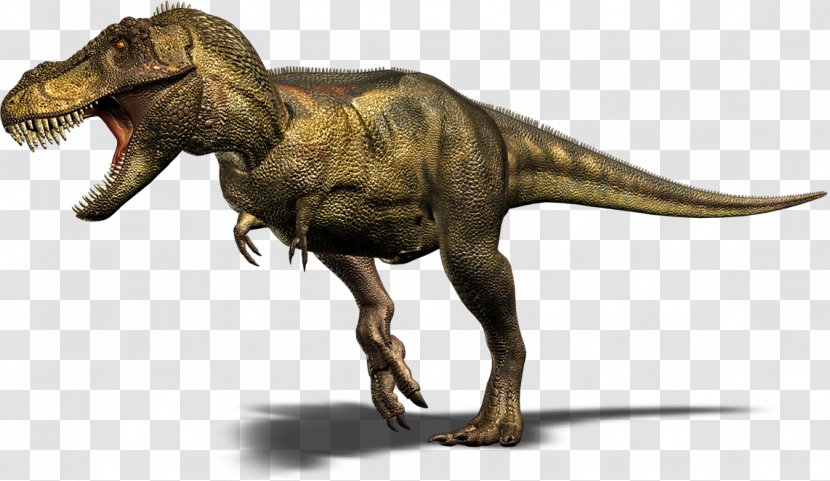 Spinosaurus Velociraptor Carnotaurus Stegosaurus Triceratops - Dinosaur Transparent PNG