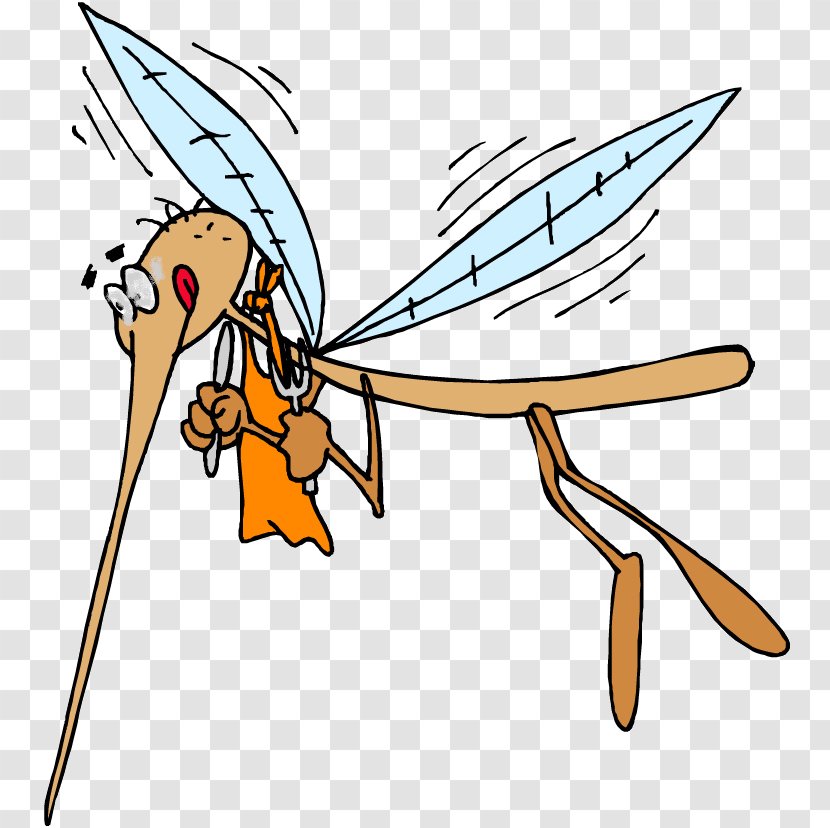 Mosquito Viral Hemorrhagic Fever Japanese Encephalitis Animal Bite Disease Transparent PNG
