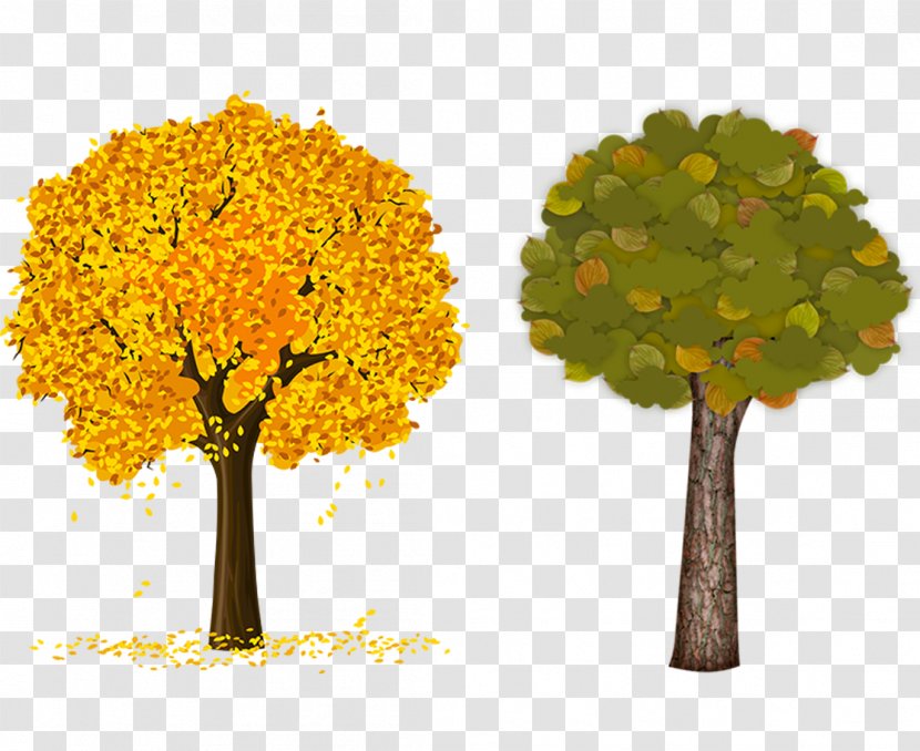 Tree Autumn Trunk Clip Art - Branch - Trees Material Transparent PNG