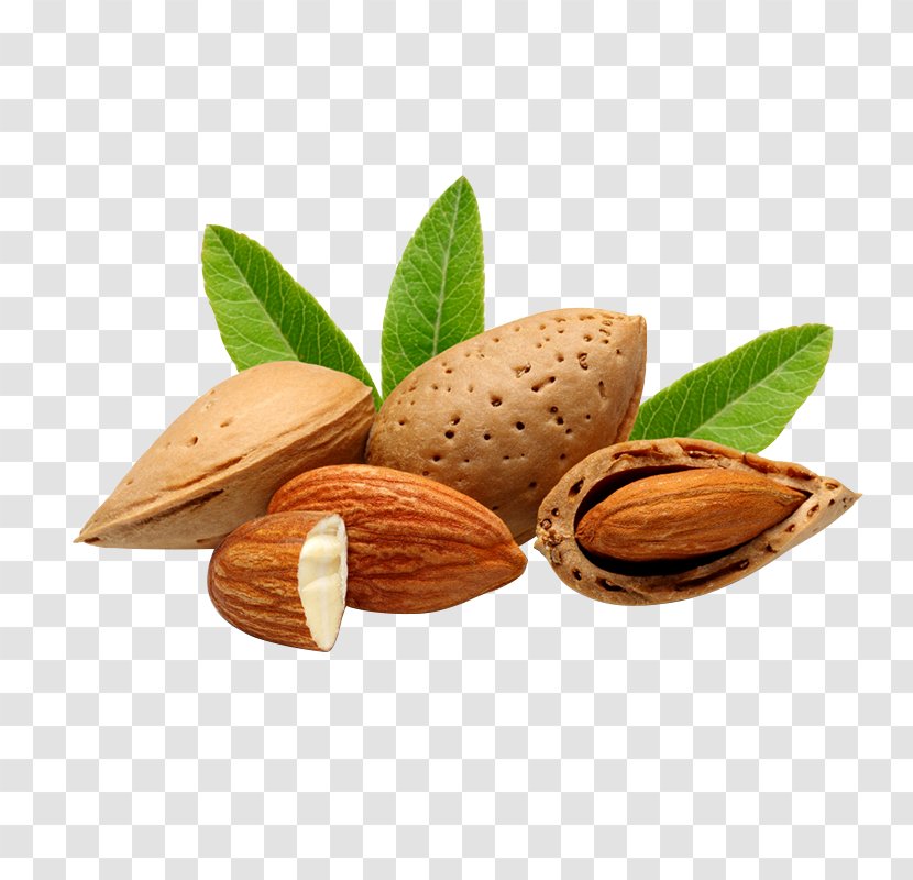 Bajaj Almond Drops Hair Oil Nut Food - Butter - Walnut Transparent PNG