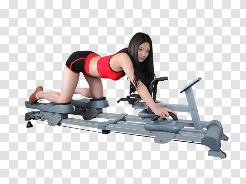 Indoor Rower Physical Fitness Shoulder Machine - Cartoon - Exercise Transparent PNG