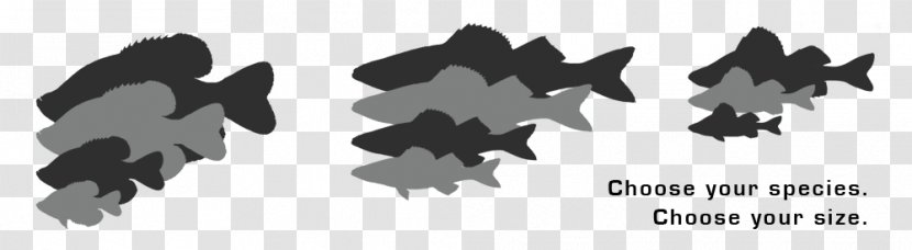 Desktop Wallpaper Tree Computer Pattern - Black M - Fish Farm Transparent PNG