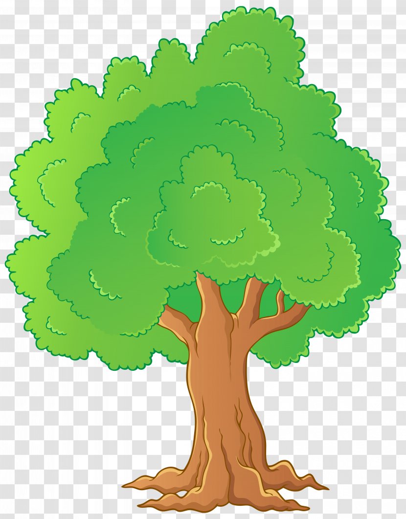 Tree Clip Art - Crown - Transparent Transparent PNG