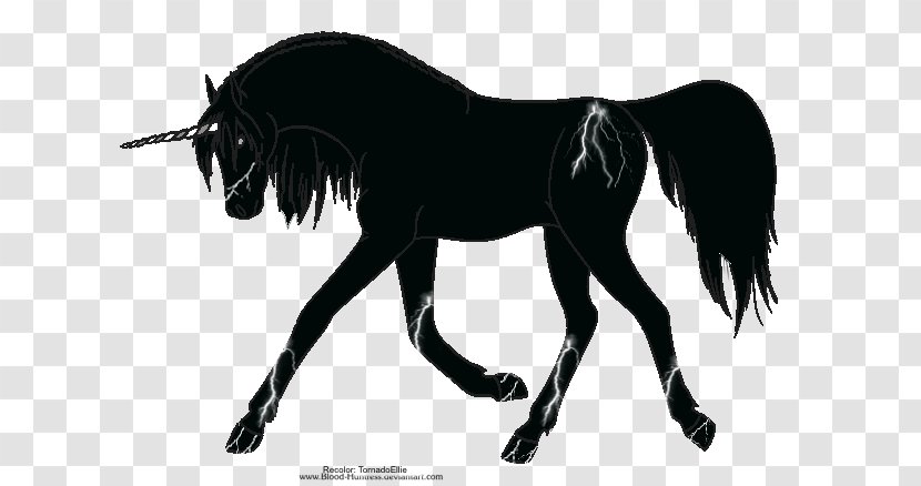 Mane Mustang Stallion Rein Unicorn - Black - Colts Puppies Kittens Bunnies Transparent PNG