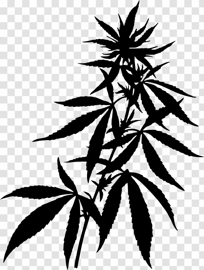 Medical Cannabis Hemp Clip Art - Plant Stem - Pot Transparent PNG