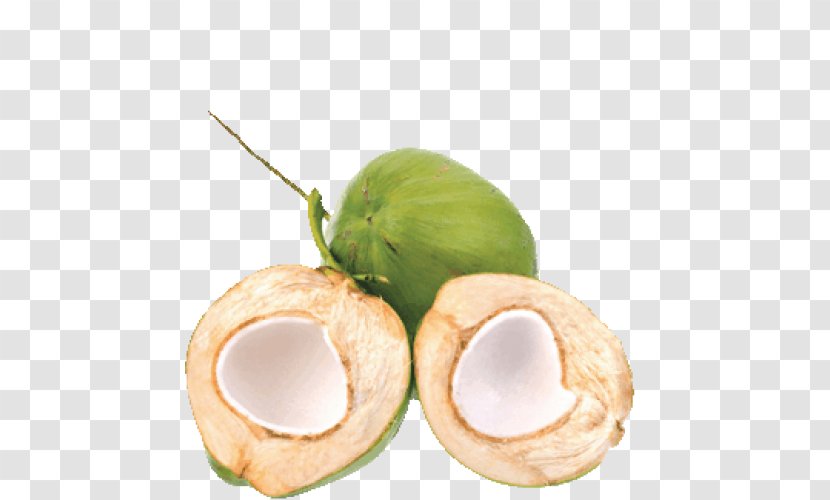 Coconut Water Es Kelapa Muda Milk Thai Cuisine Transparent PNG