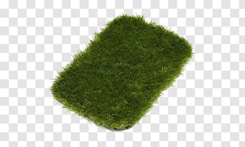 Garden Design Lawn Landscaping Artificial Turf - Plant - Pavement Transparent PNG