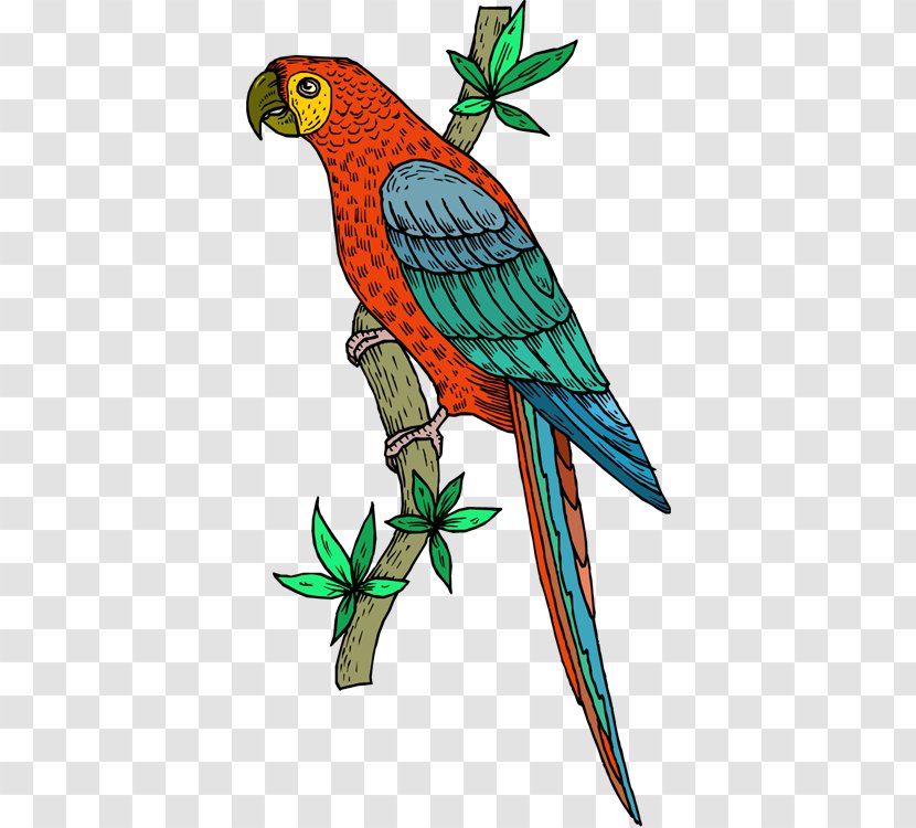 Bird Cockatoo Scarlet Macaw Clip Art - Blueandyellow - Parrots Cliparts Transparent PNG