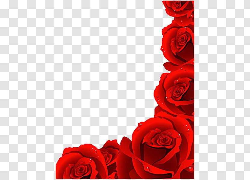 Rose Royalty-free Clip Art - Flowering Plant - Red Petals Vector Material Transparent PNG