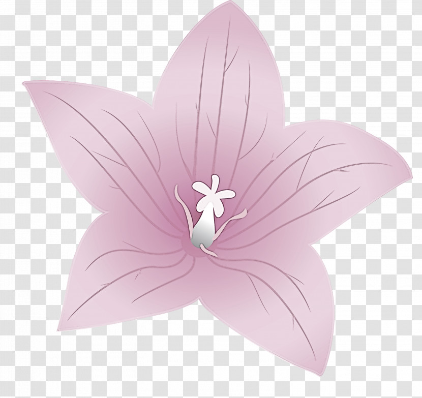 Balloon Flower Transparent PNG