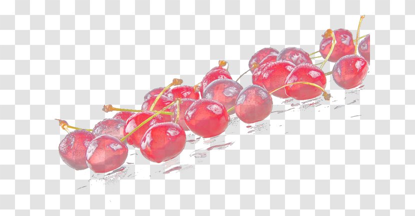 Cranberry - Fruit - In Water Transparent PNG