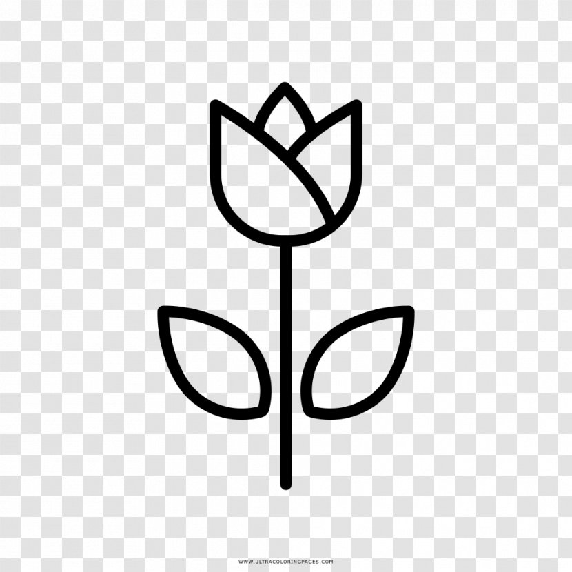 Tulip Drawing Coloring Book Flower Blume - Adibide Transparent PNG