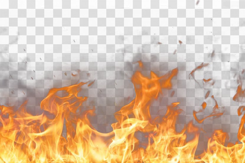 Light Flame Fire Explosion - Tree - Burning Decorative Material Transparent PNG