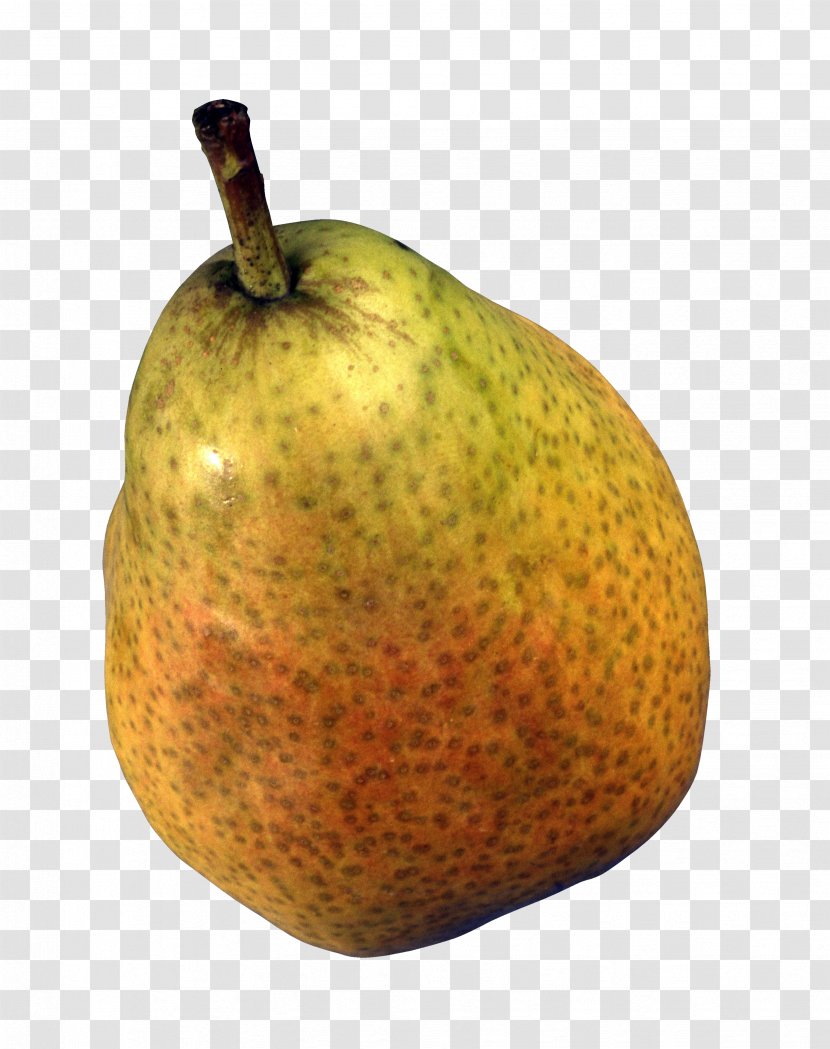 Food Fruit Williams Pear Bosc - Apple Transparent PNG