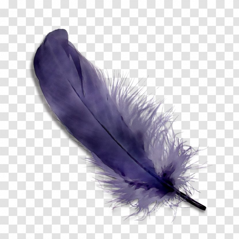 Purple Feather - Violet - Costume Accessory Transparent PNG